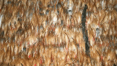 104X94 cm Songs2 - Fragment Feathers on canvas 2011